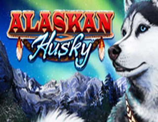 Alaskan Husky slot Amaya