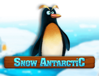 Snow Antarctic