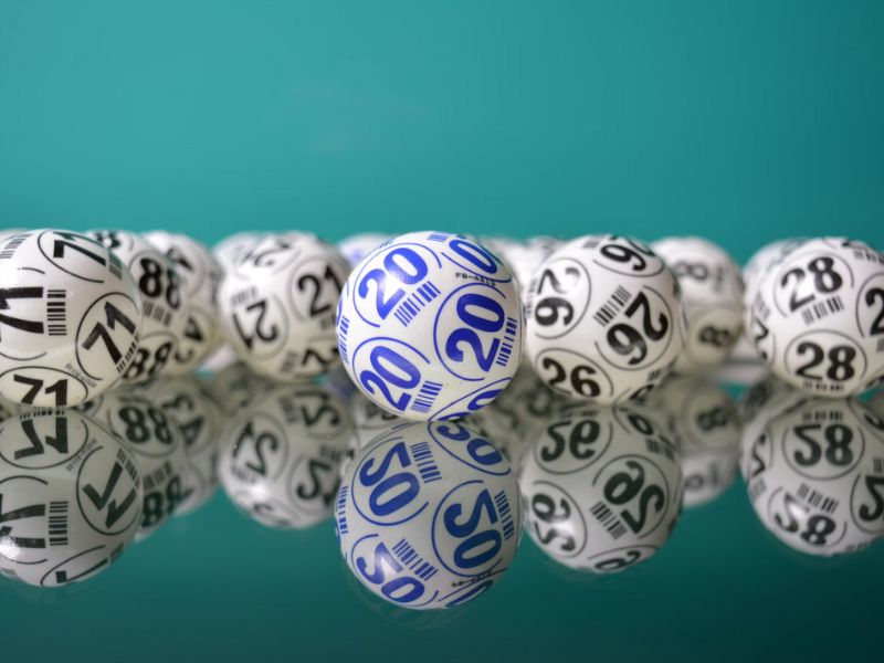play bingo