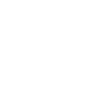 Bet25 Casino Logo