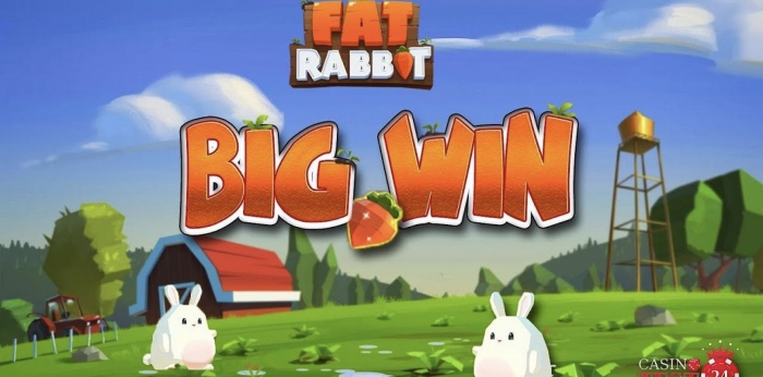 fat rabbit slot bigwin