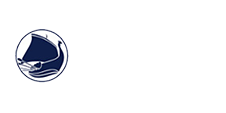 Playtech Vikings