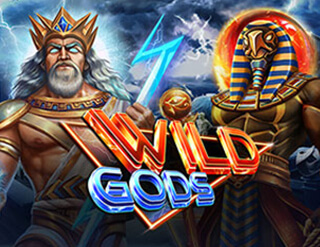 Wild Gods slot Leap Gaming