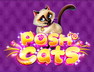 Posh Cats slot Platipus Gaming