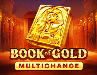 Book of Gold Multichance slot Playson
