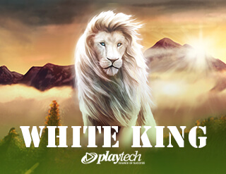 White King slot Playtech