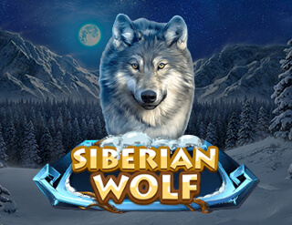 Siberian Wolf slot Red Rake Gaming