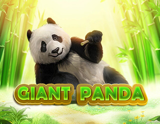 Giant Panda slot Spearhead Studios