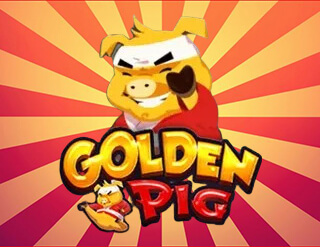 Golden Pig