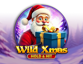 Wild Xmas Hold & Hit slot Spinomenal