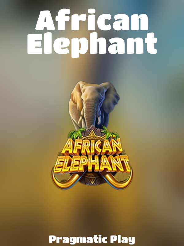 African Elephant slot Pragmatic Play