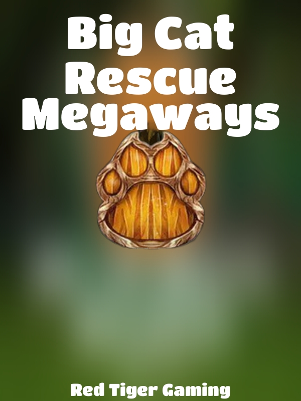 Big Cat Rescue Megaways slot Red Tiger Gaming