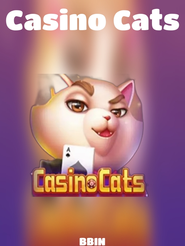 Casino Cats slot BBIN