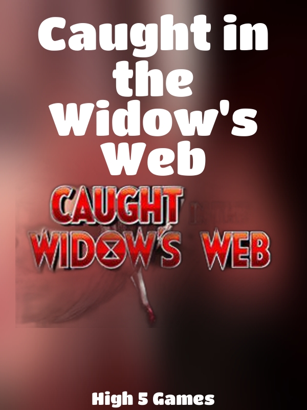 Caught in the Widow's Web slot High 5 Games