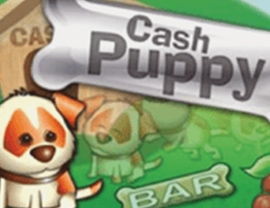 Cash Puppy slot Genii