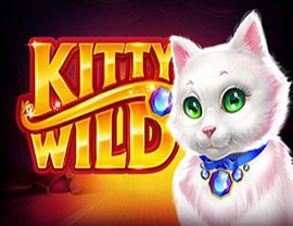 Kitty Wild