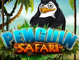 Penguin Safari