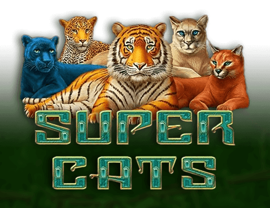 Super Cats slot Amatic Industries
