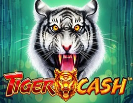 Tiger Cash