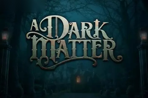 A Dark Matter