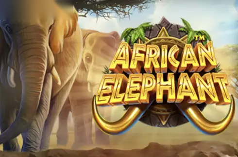 African Elephant slot Pragmatic Play