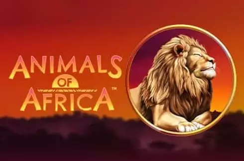 Animals of Africa slot Gold Coin Studios