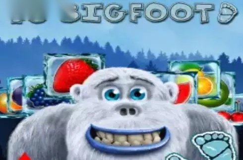 Big Foot 40 slot AGT Software