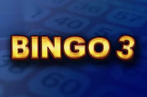 Bingo 3