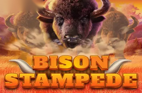 Bison Stampede