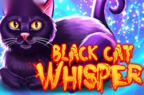 Black Cat Whisper