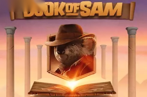 Book Of Sam