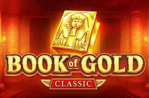 Book of Gold: Classic slot Playson