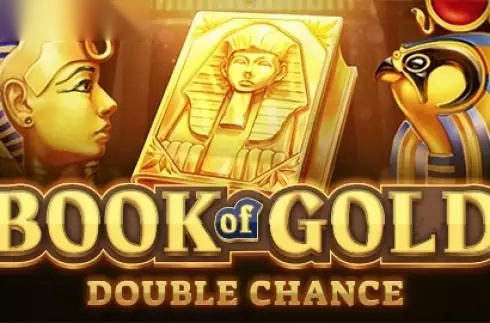 Book of Gold: Double Chance slot Playson