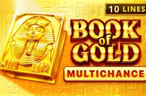 Book of Gold Multichance slot Playson