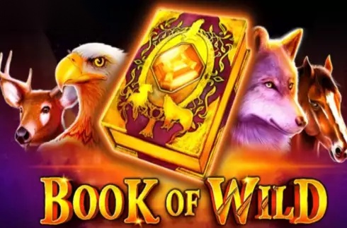Book of Wild slot 1spin4win