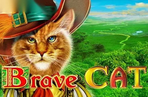 Brave Cat