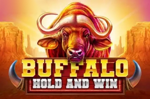 Buffalo Hold and Win slot Booming Games