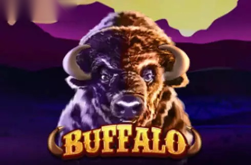 Buffalo