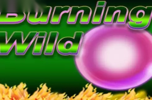 Burning Wild