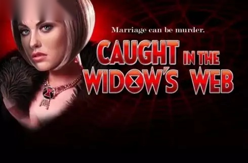 Caught in the Widow's Web slot High 5 Games