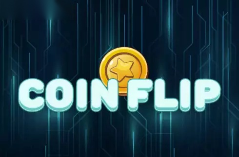 CoinFlip slot undefiend