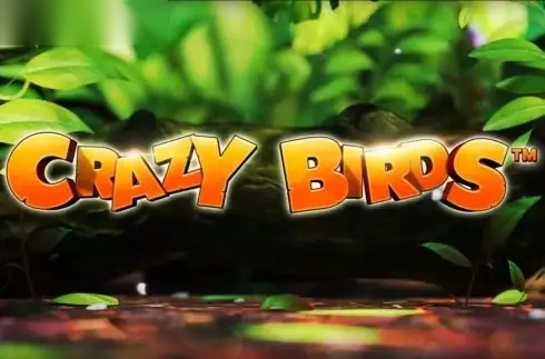 Crazy Birds