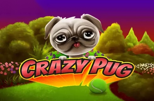 Crazy Pug