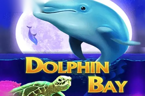 Dolphin Bay