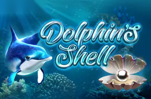 Dolphins Shell slot Champion Studio