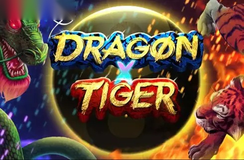 Dragon X Tiger