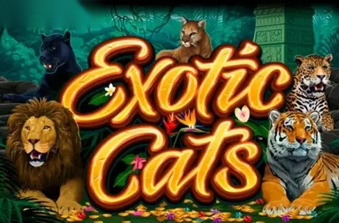 Exotic Cats slot Microgaming