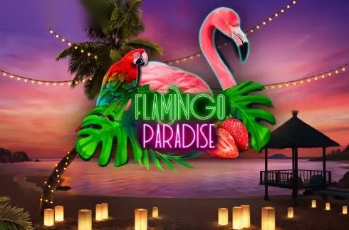 Flamingo Paradise