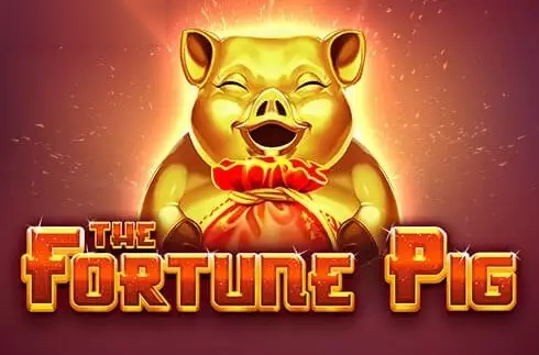 Fortune Pig