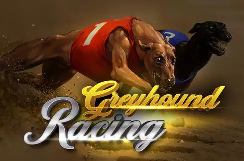 Greyhound Racing